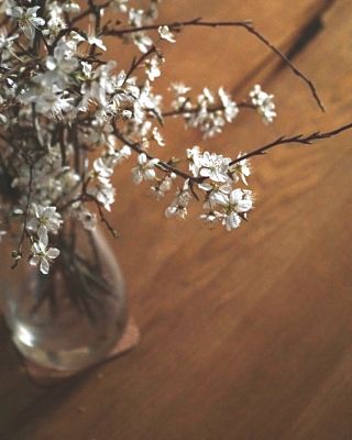 Krásný první jarní den v tomto roce 🌷☀️ #wooded_cz #jaro #nabytekzmasivu #ceskaznacka #nabyteknamiru #prvnijarniden...